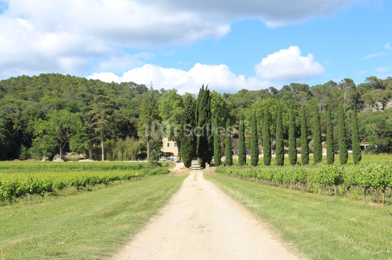 Château de l’Olivete - galerie - photo 11