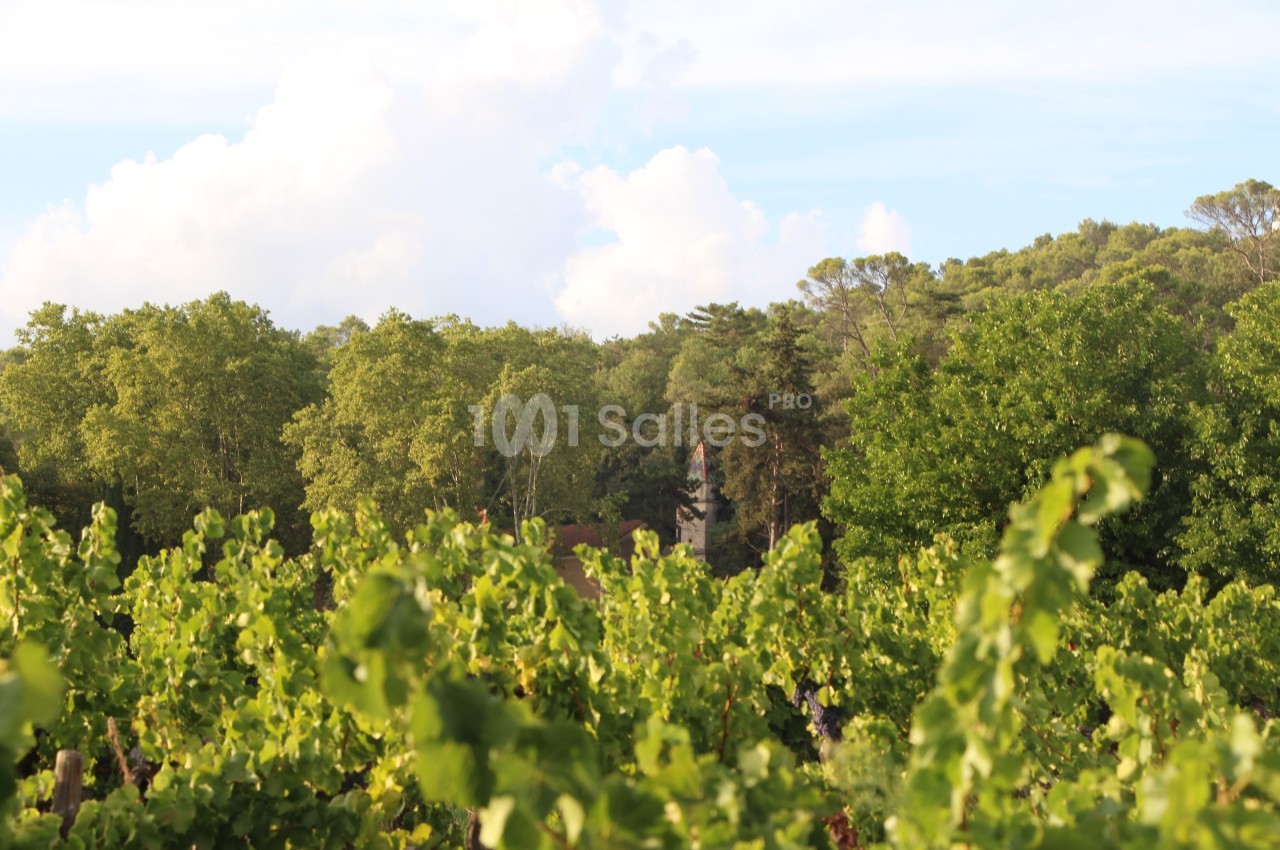 Vue du Château depuis ses vignes