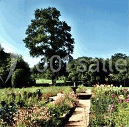 Domaine De Banizette - photo 3