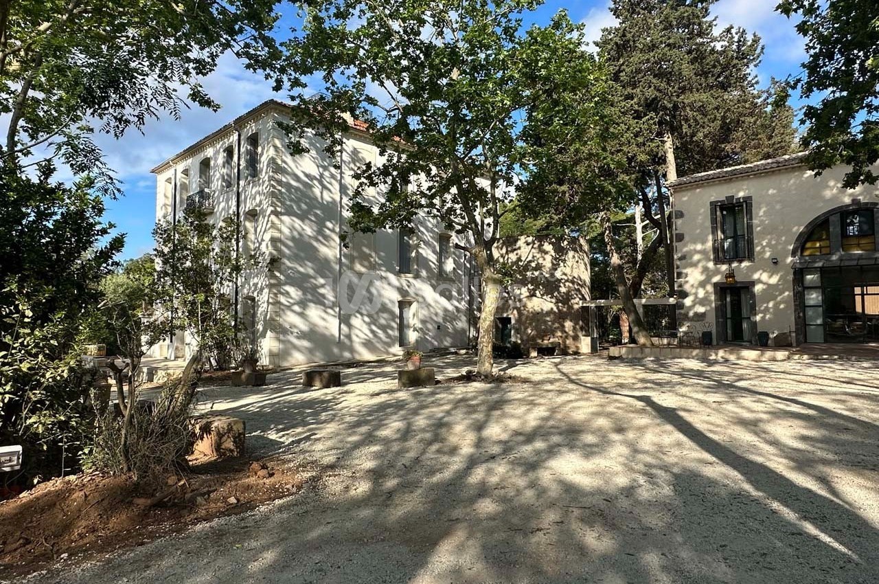 Cour ombragée avec arbres et bâtiments en arrière-plan, sous un ciel partiellement dégagé.