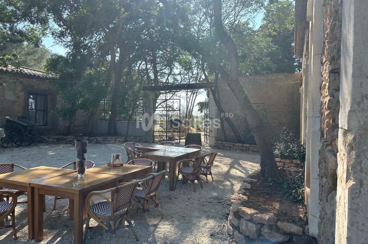 Cour extérieure ensoleillée avec tables en bois, chaises en rotin, arbres et vue sur un portail ouvert en pierre.