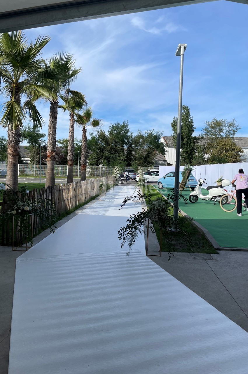 Allée blanche bordée de palmiers et de végétation, menant à un espace extérieur avec vélos et scooters.