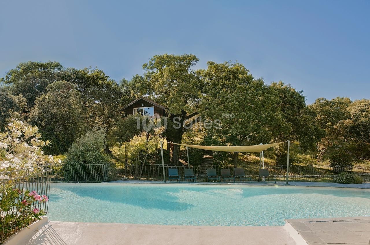 Piscine extérieure entourée de végétation, avec des chaises longues à l'ombre d'une toile tendue.