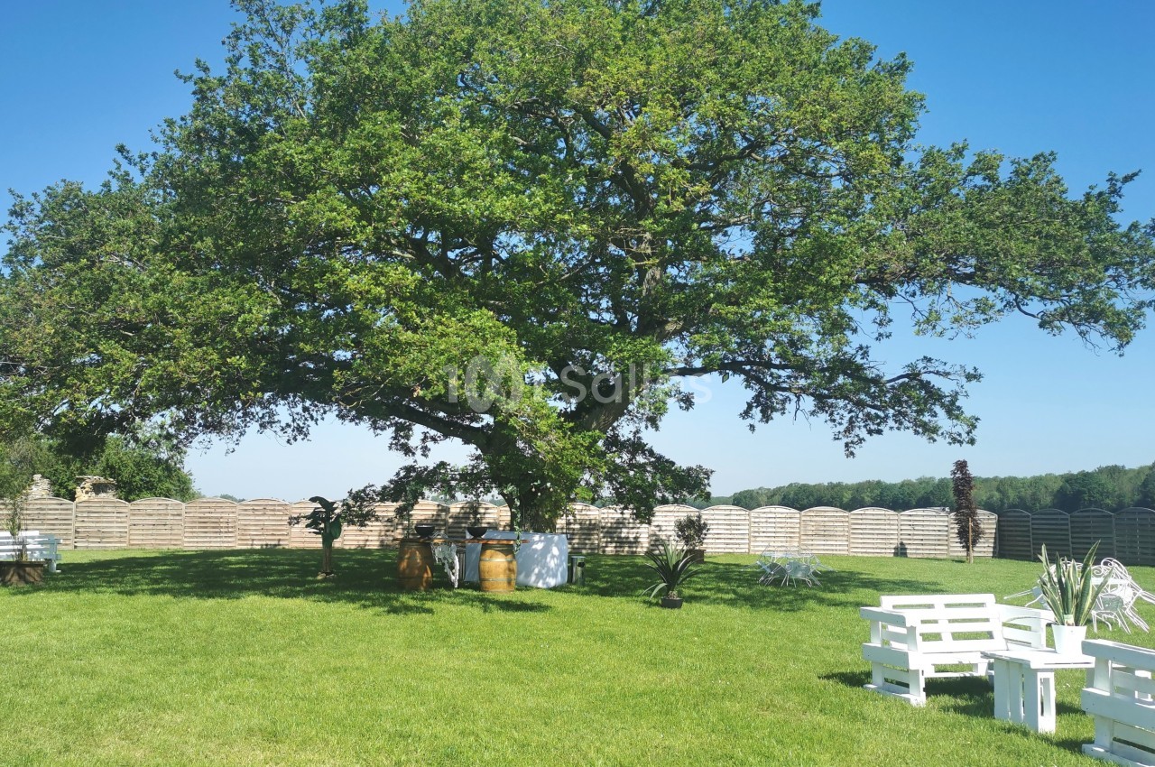 Un grand arbre au centre d'un jardin verdoyant avec des bancs blancs et des décorations en plein air.