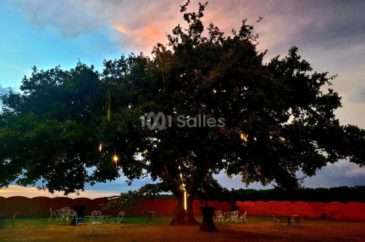 Un grand arbre illuminé par des guirlandes lumineuses dans un jardin avec des tables et chaises en soirée.