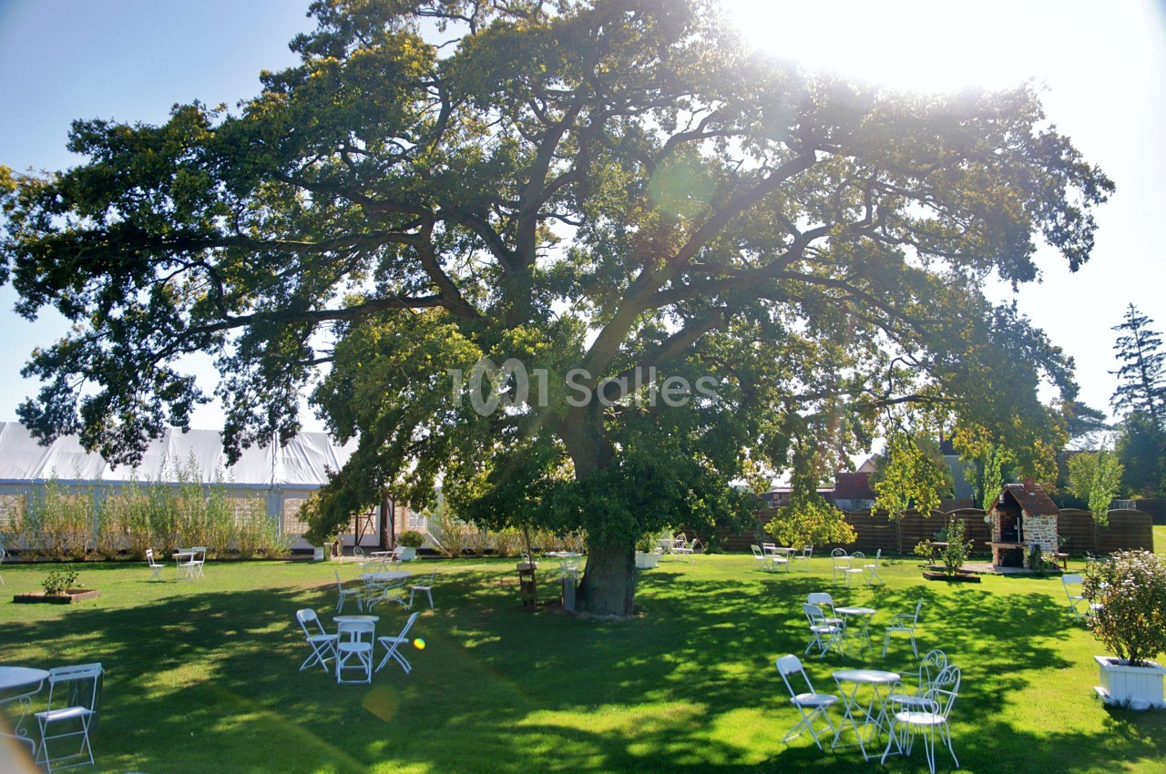 Un grand arbre au centre d'un jardin avec des tables et chaises blanches disposées sur une pelouse ensoleillée.