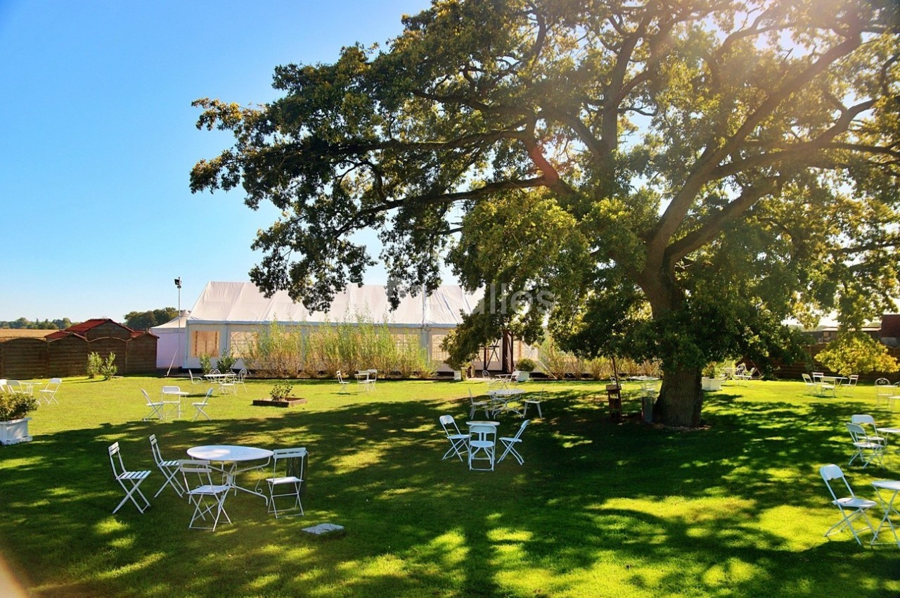 Grand jardin verdoyant avec des tables et chaises blanches disposées sous un grand arbre, proche d'une tente blanche.