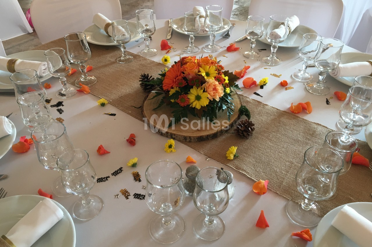 CHEMIN DE TABLE