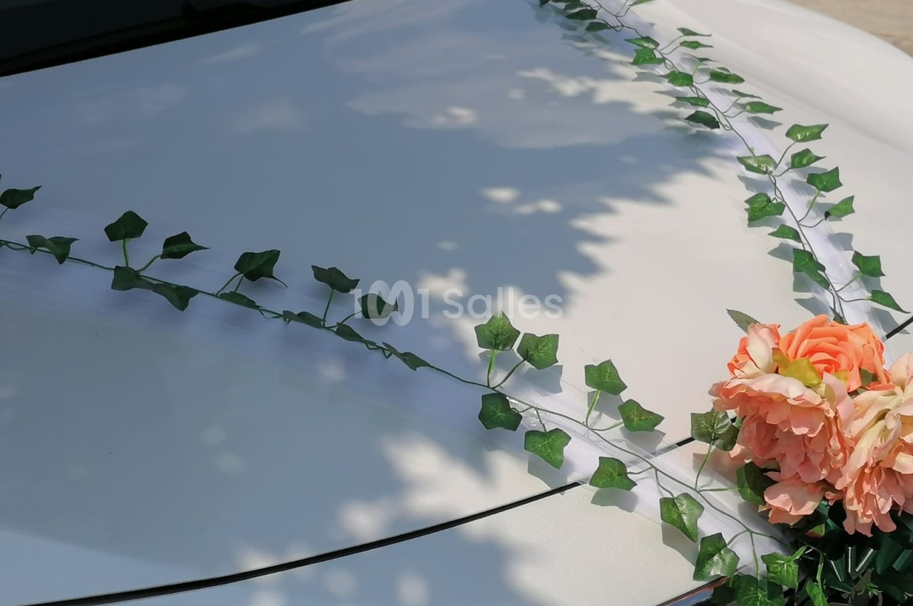 Décoration florale avec lierre et roses sur le capot blanc d'une voiture, éclairée par la lumière du soleil.