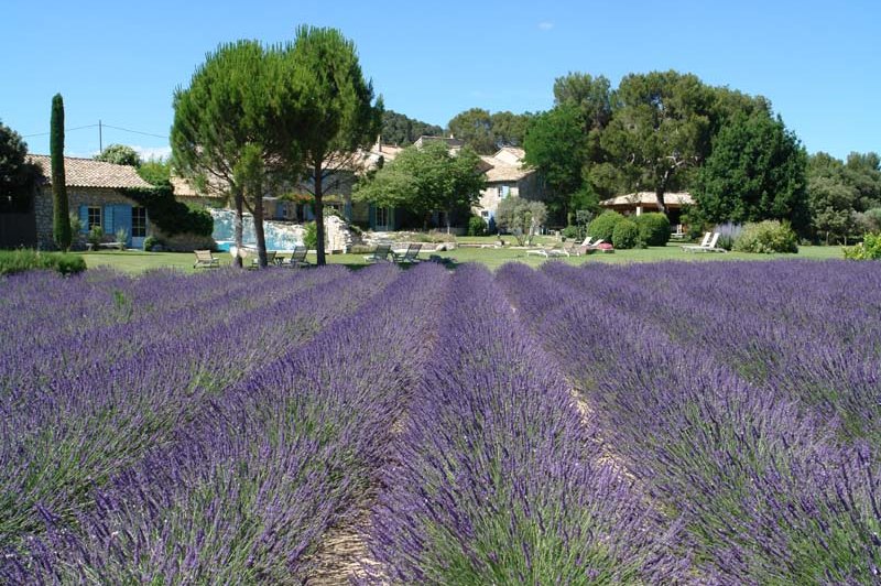 Le Mas de la Rose - photo 3
