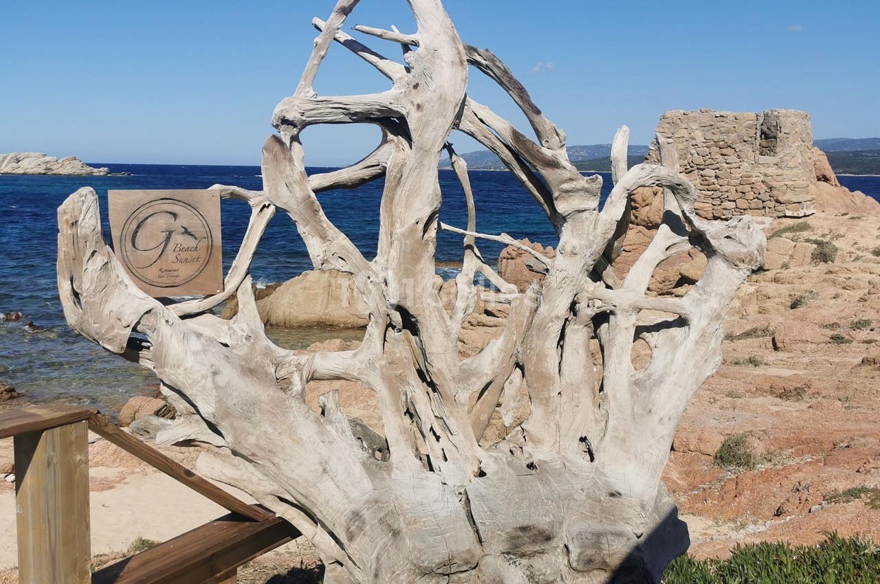 Le Goéland Beach - galerie - photo 9