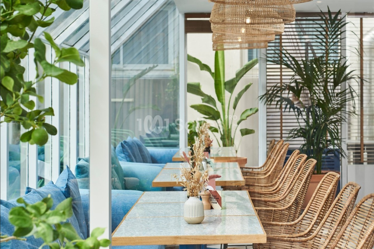 Salle lumineuse avec tables en bois, chaises en rotin, plantes vertes et grandes baies vitrées.