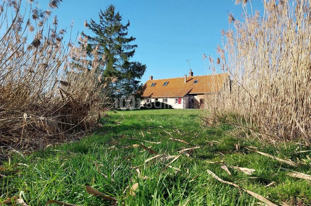 Le Gué de la Terre - galerie - photo 16