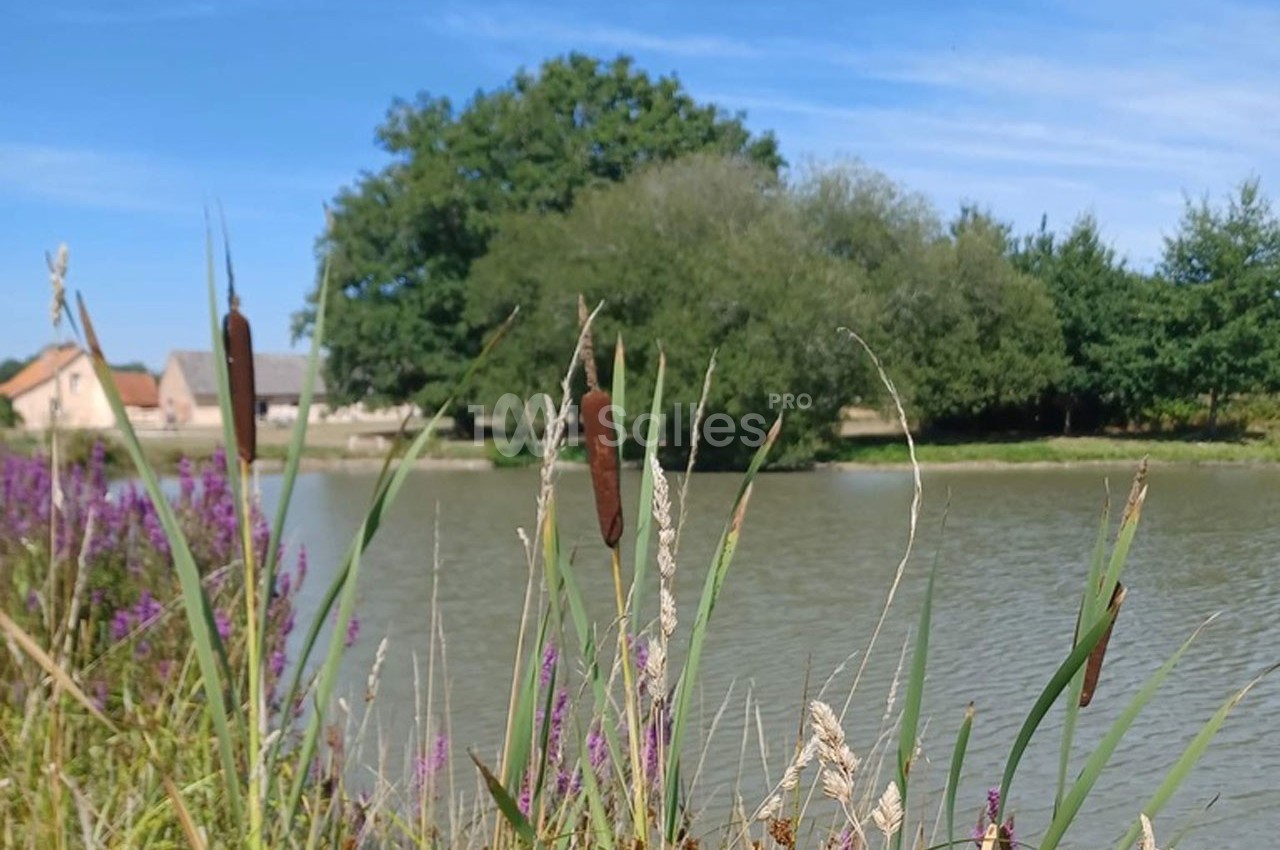 Le Gué de la Terre - galerie - photo 22