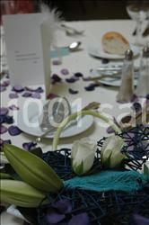 L'etincelle - galerie - photo 23