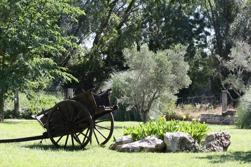 Mas des Jasses - photo 2