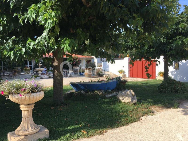 Mas des Jasses - galerie - photo 3