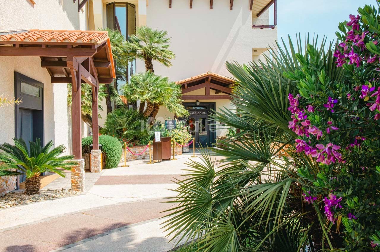 Entrée d'un bâtiment entourée de végétation méditerranéenne avec palmiers et fleurs violettes.