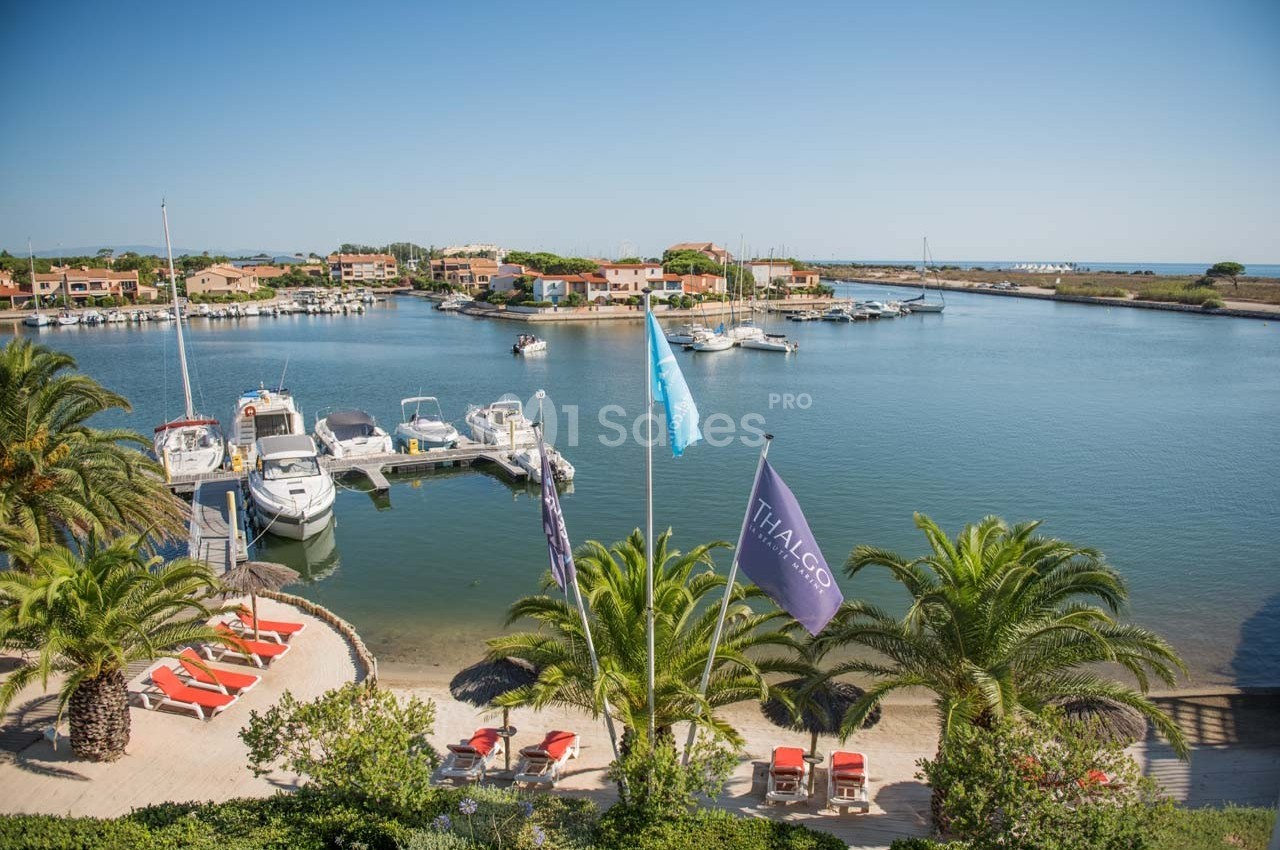 Vue d'un port de plaisance avec des bateaux amarrés, des palmiers et des bâtiments en arrière-plan sous un ciel dégagé.