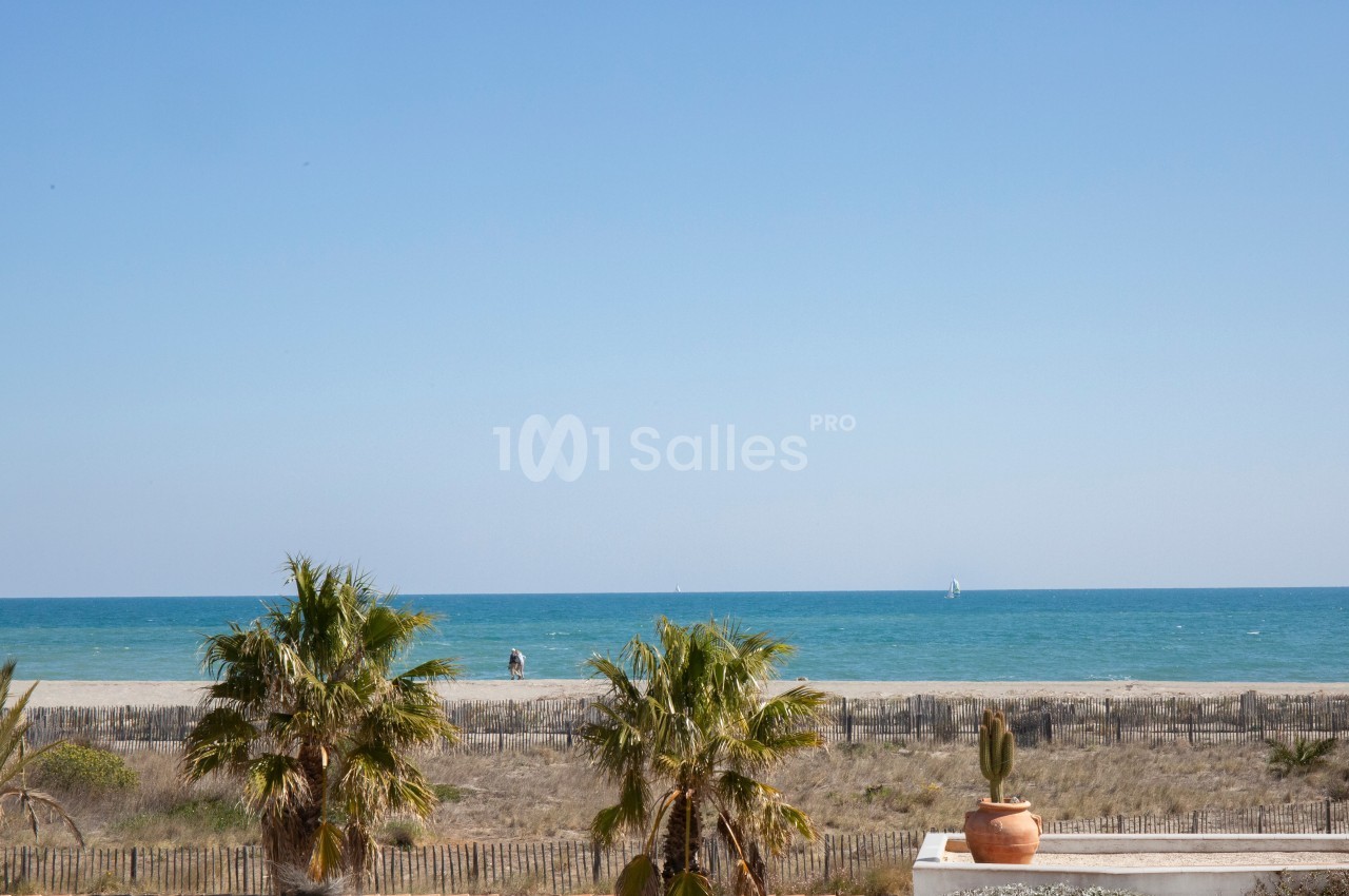 Vue sur une plage bordée de palmiers, avec une mer calme et un ciel dégagé à l'horizon.