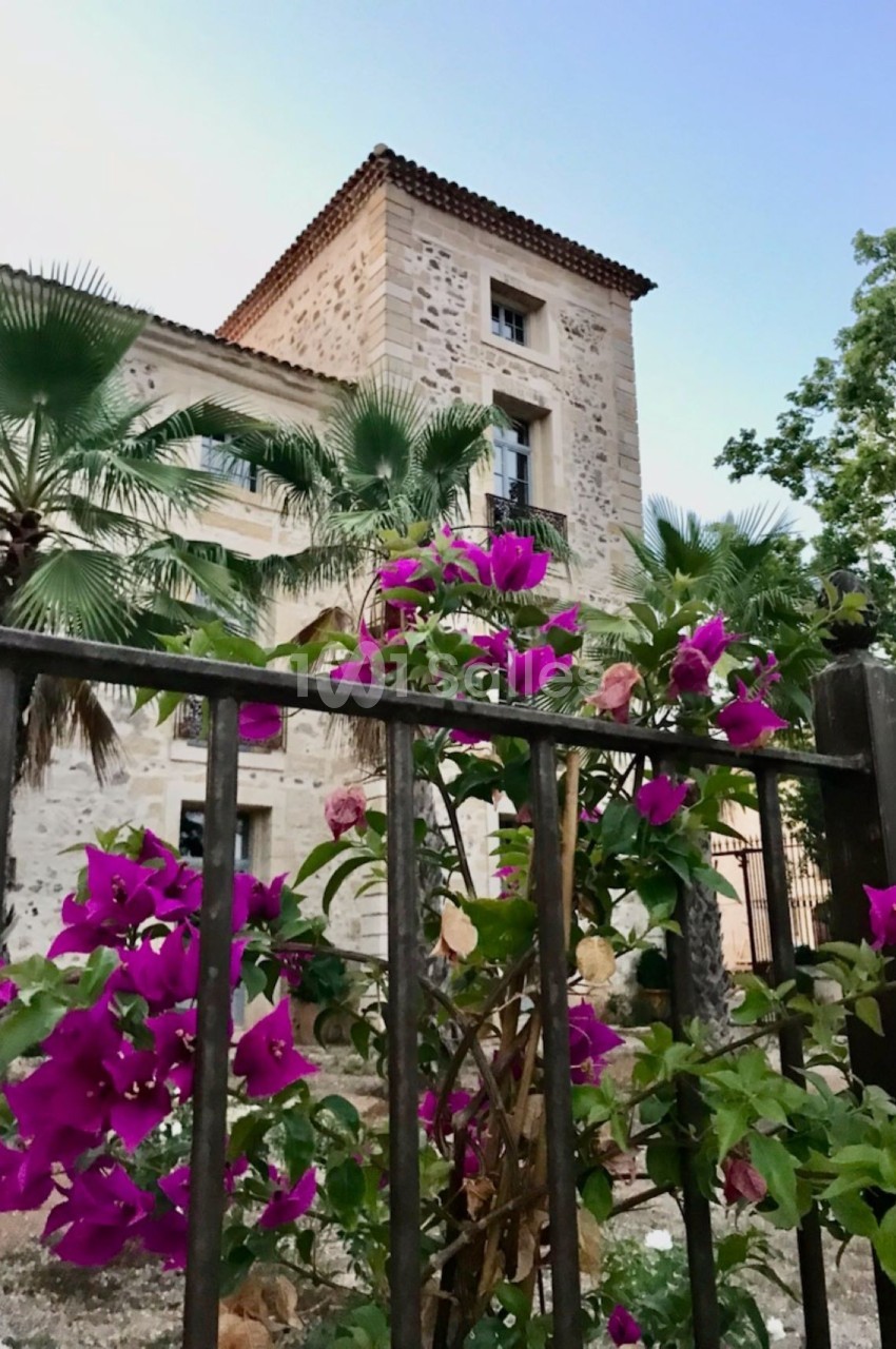 Domaine les Castans - galerie - photo 14