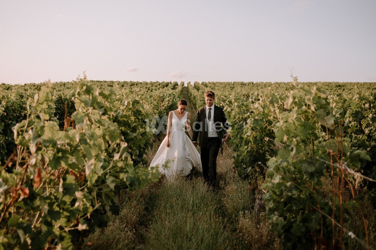 Domaine de la Forteresse de Berrye - galerie - photo 17