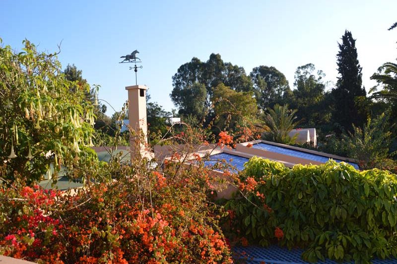 Villa Mandarine - photo 1