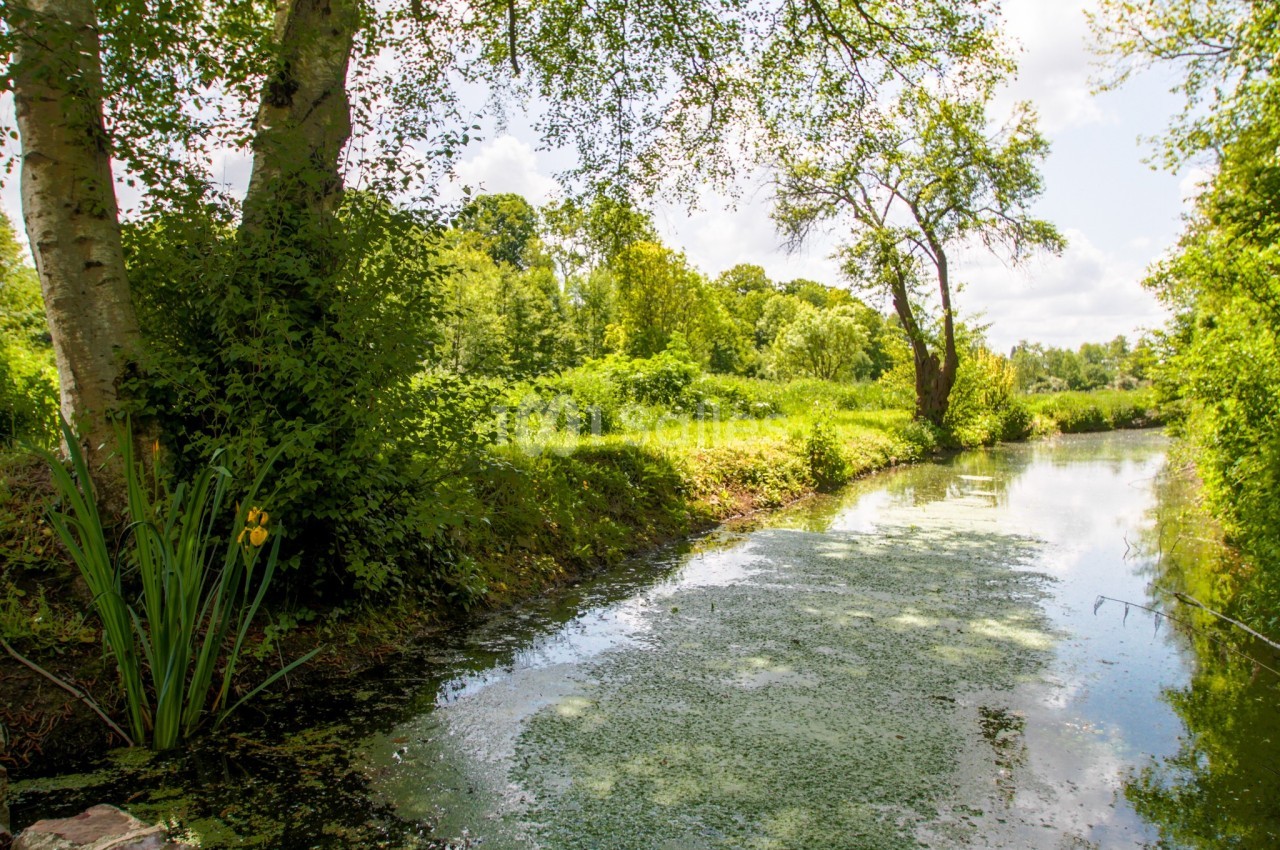 Vue d'un petit cours d'eau bordé de végétation luxuriante sous un ciel partiellement nuageux.