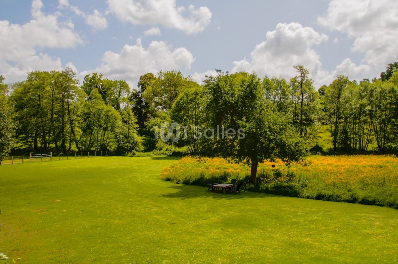 Prairie verdoyante avec un arbre solitaire, des fleurs jaunes et une clôture en arrière-plan sous un ciel partiellement…
