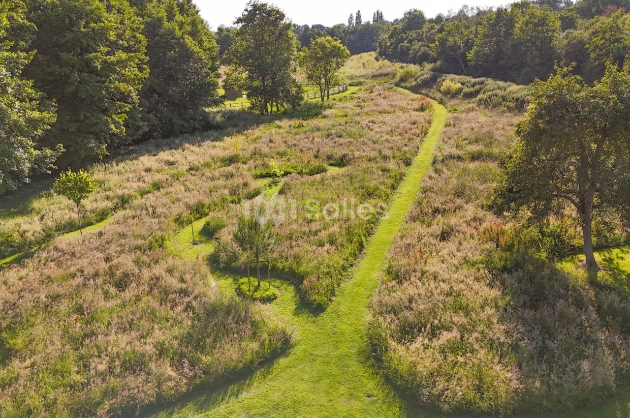 Prairie verdoyante avec sentiers herbeux sinueux, entourée d'arbres et baignée de lumière naturelle.