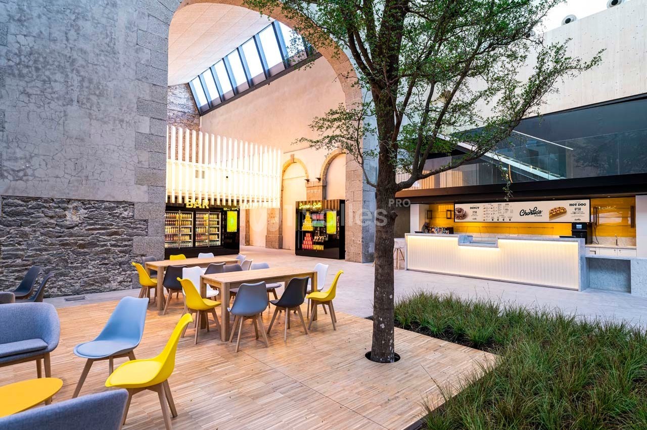 Espace moderne avec tables, chaises colorées, arbre central, murs en pierre et comptoir lumineux en arrière-plan.