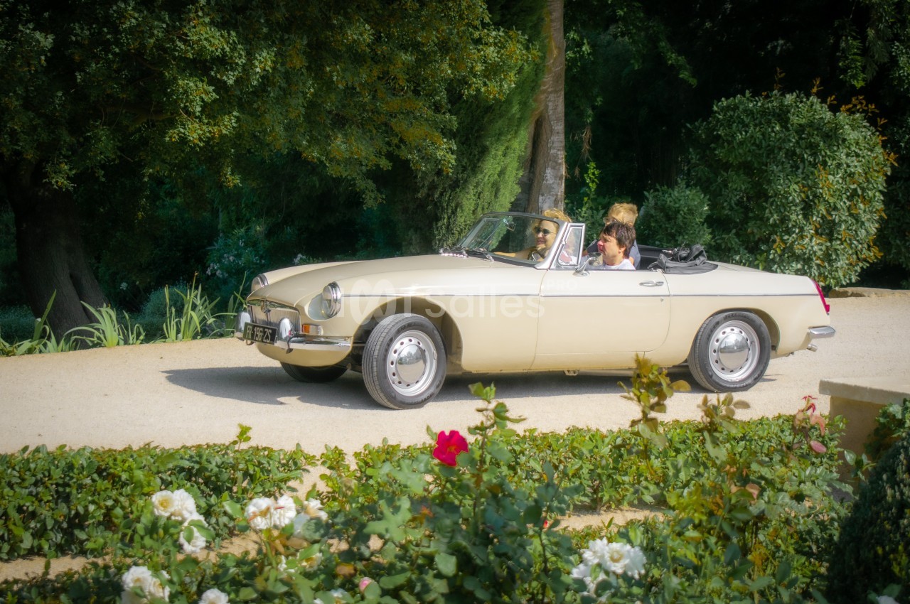 Voiture décapotable beige ancienne conduite sur un chemin bordé de fleurs et de verdure.