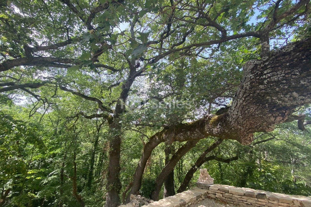 Domaine de la Santonne - galerie - photo 18