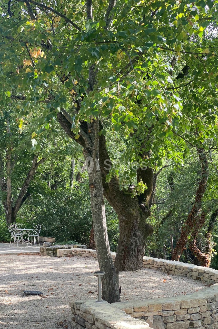 Domaine de la Santonne - galerie - photo 20