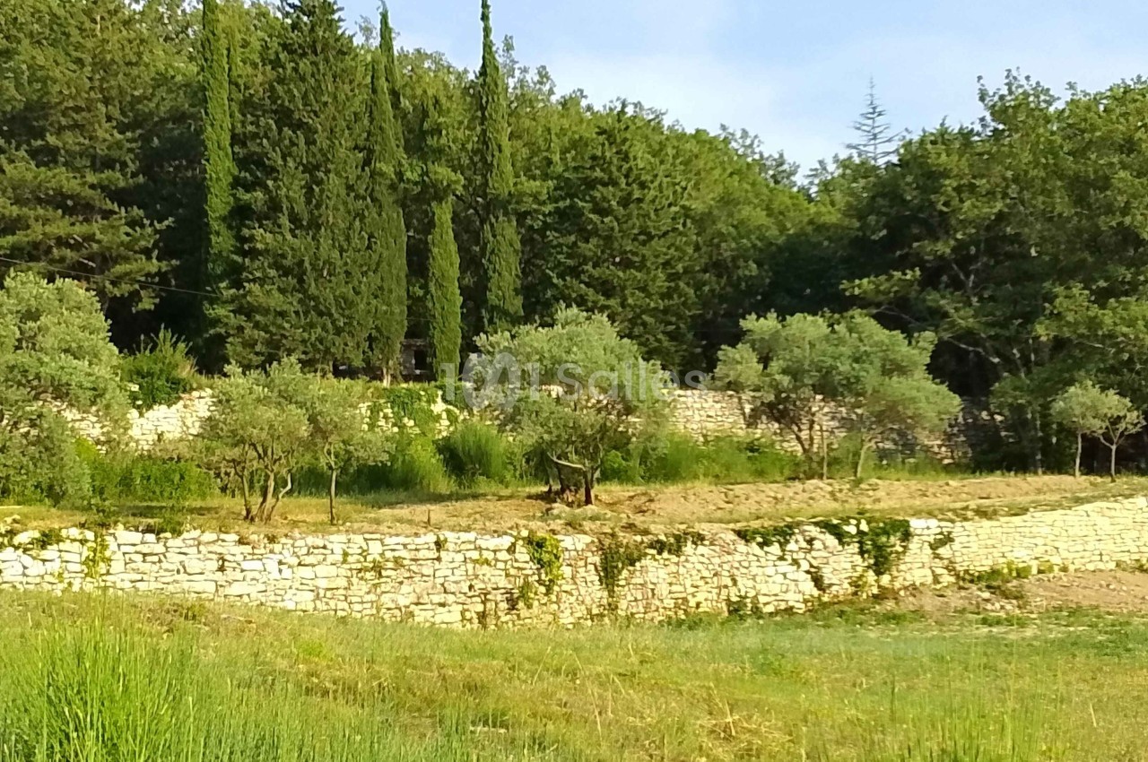 Domaine de la Santonne - galerie - photo 21