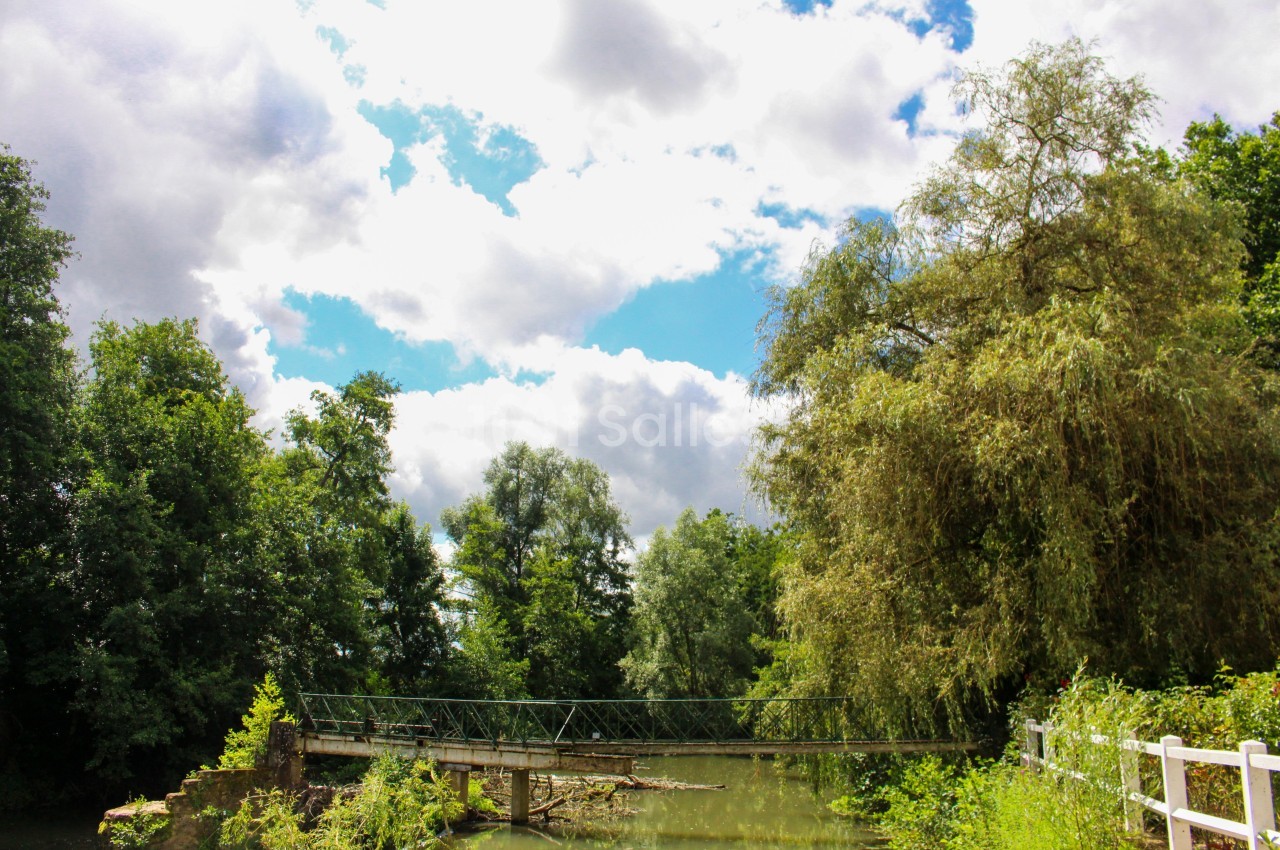 Le Manoir de Tigeaux - galerie - photo 10