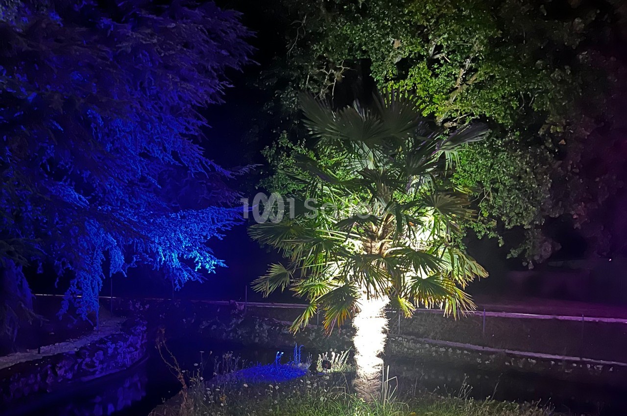 Les Magnolias - galerie - photo 11