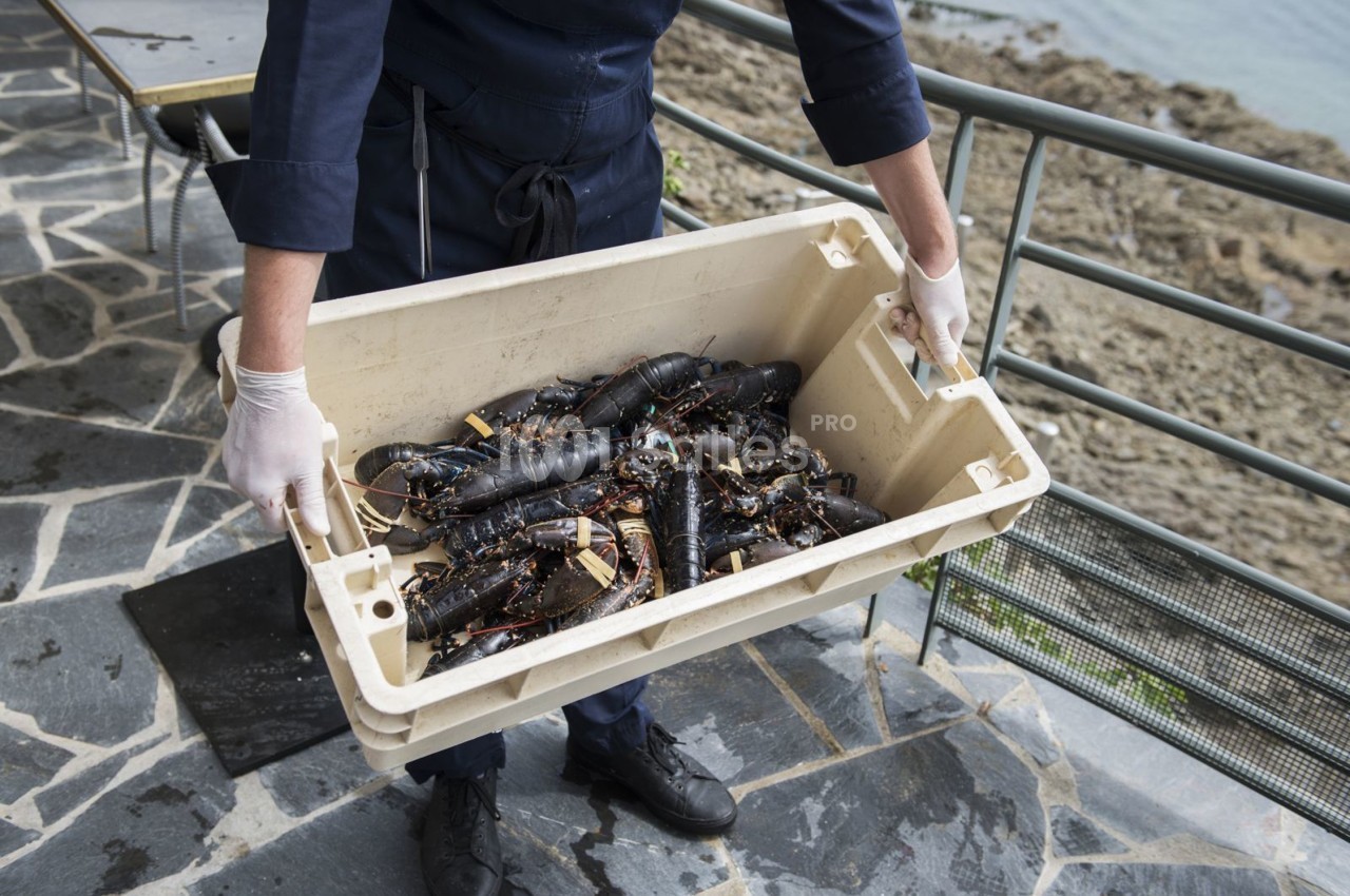 Une personne transporte une caisse remplie de homards vivants sur une terrasse en pierre près de la mer.