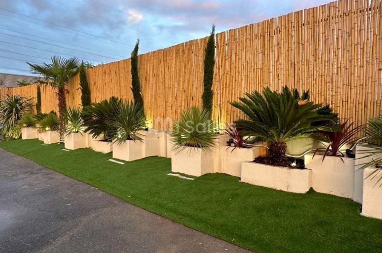 Alignement de plantes exotiques dans des bacs blancs sur une pelouse artificielle, avec une clôture en bambou en arrière…