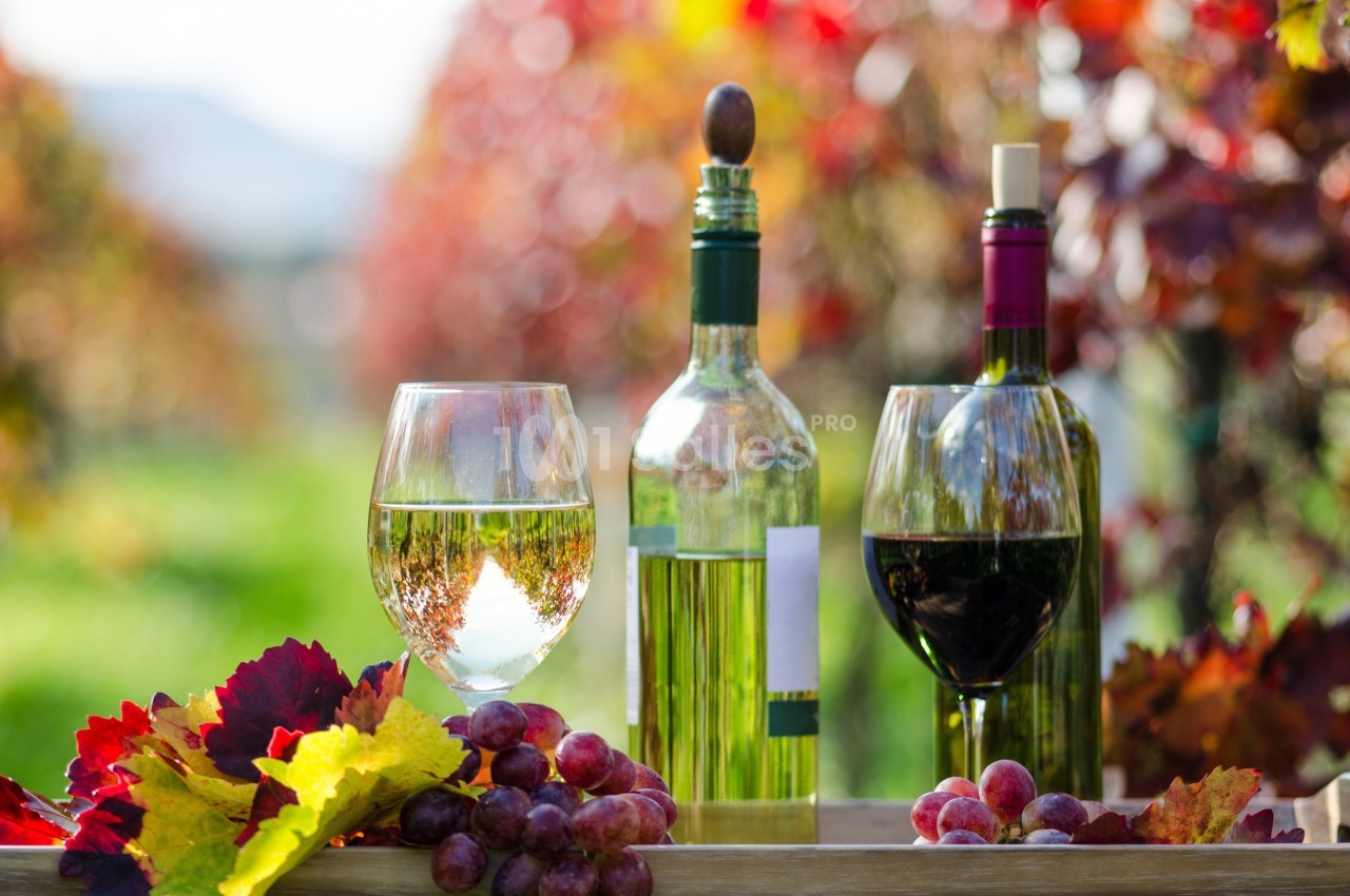 Deux verres de vin, une bouteille de vin blanc et une de rouge, entourés de raisins et de feuilles d'automne dans un…