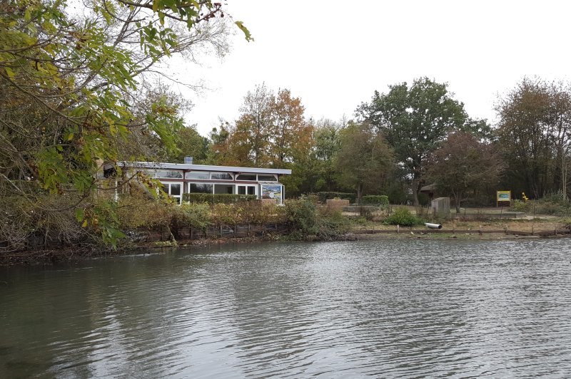 Ile de Loisirs de Saint Quentin en Yvelines - photo 4