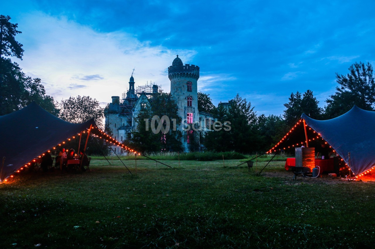 Château de la Mothe Chandeniers - galerie - photo 8