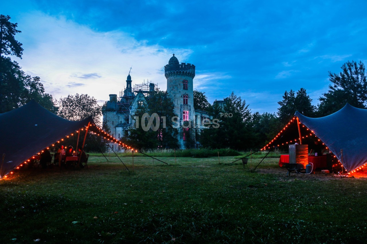 Château de la Mothe Chandeniers - galerie - photo 7