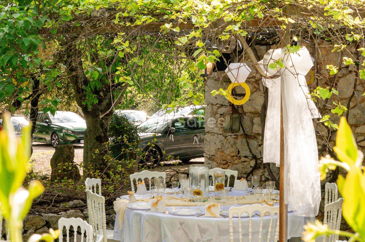 Table dressée en extérieur sous une pergola végétalisée, avec une robe blanche suspendue et des voitures en arrière-plan.