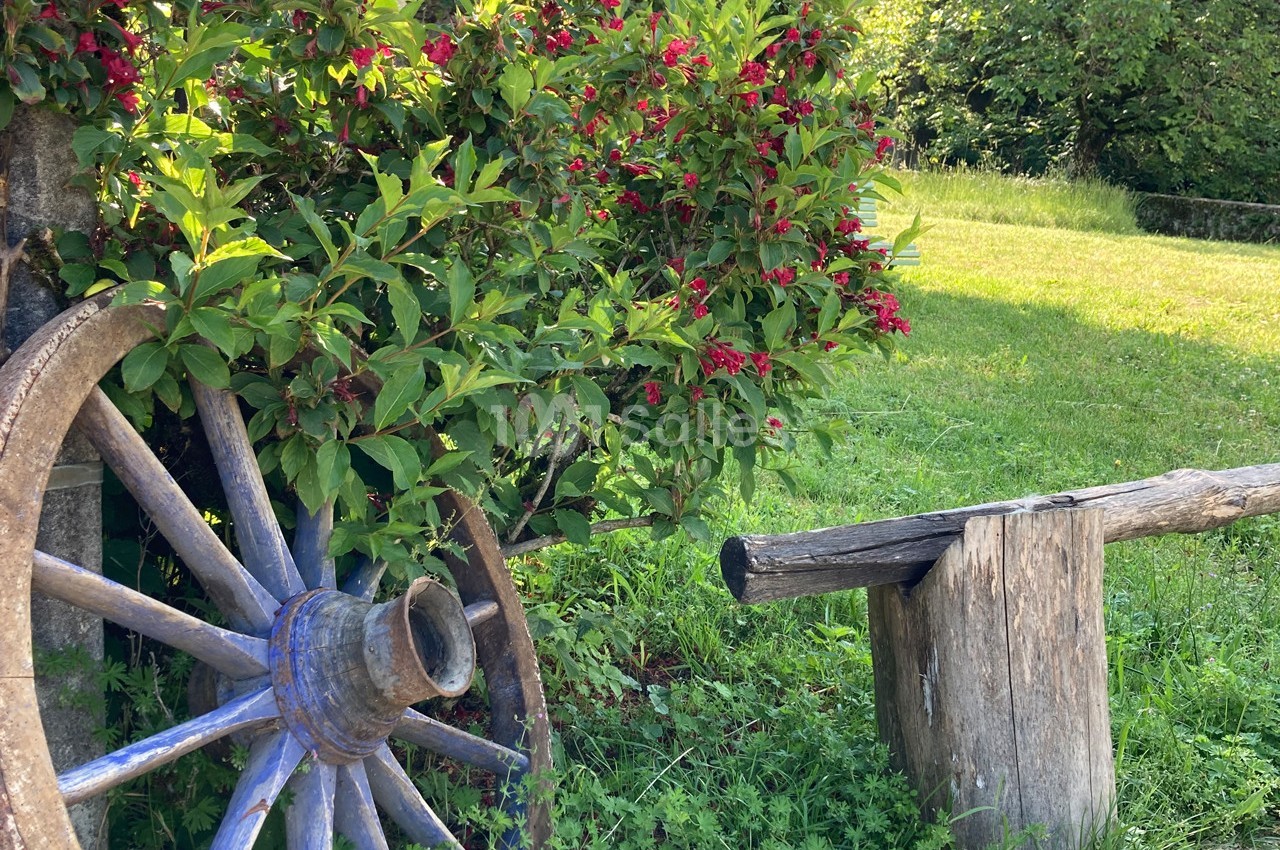 Roue en bois appuyée contre un buisson fleuri, avec un banc rustique en tronc d'arbre sur une pelouse ensoleillée.