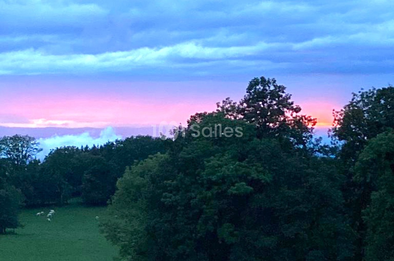 Coucher de soleil avec un ciel nuageux, des arbres en premier plan et des prairies verdoyantes au loin.