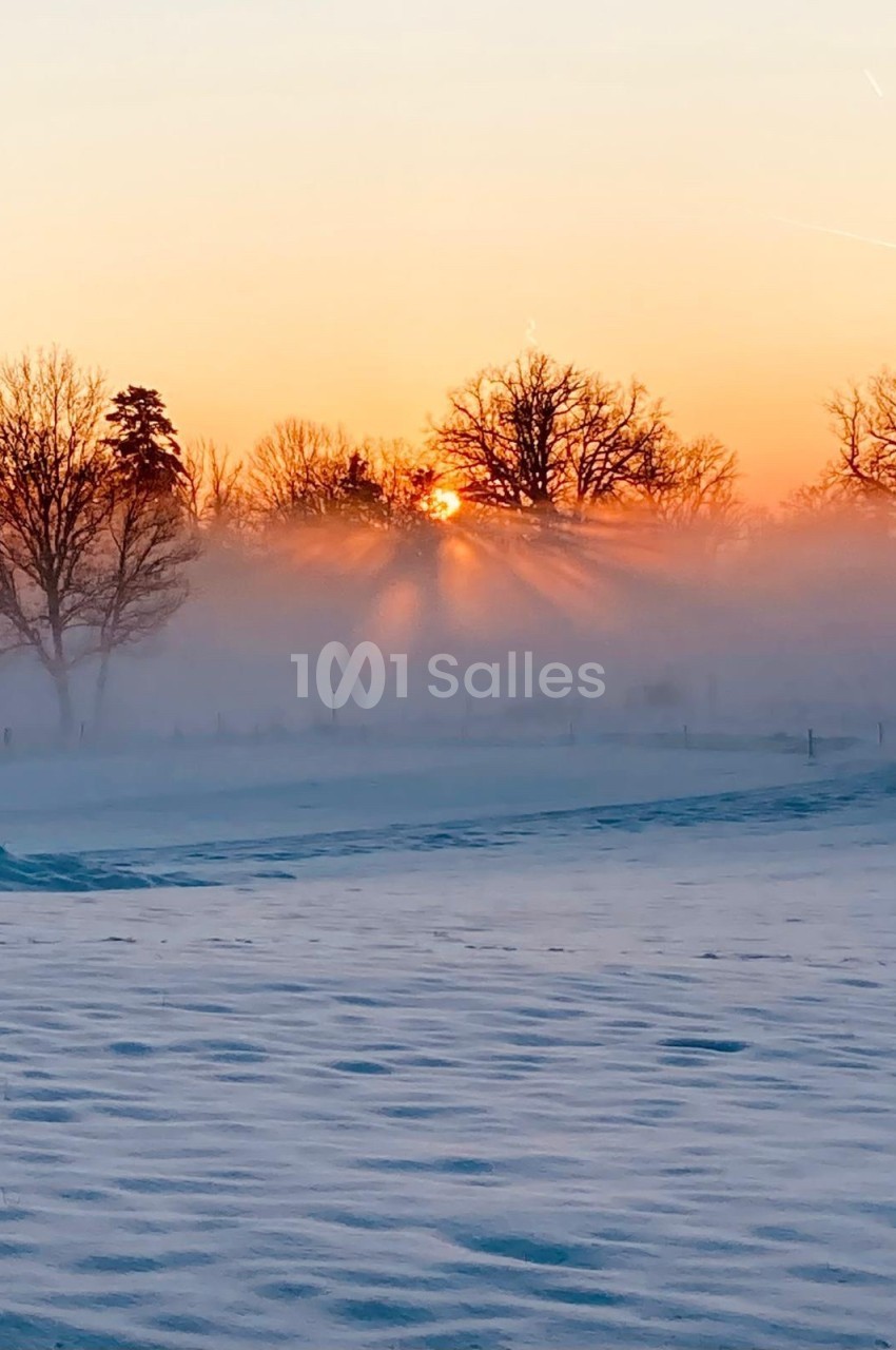 Lever de soleil hivernal illuminant un paysage enneigé avec des arbres partiellement enveloppés de brume.