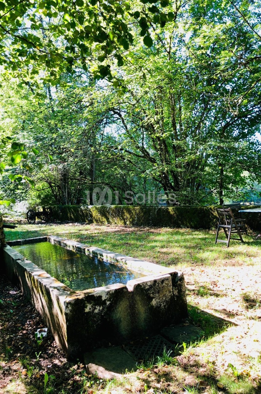 Abreuvoir en pierre rempli d'eau dans un jardin ombragé entouré d'arbres et de végétation.