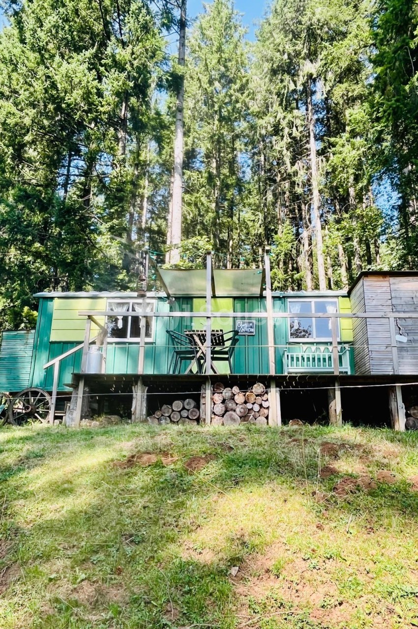 Cabane en bois surélevée avec terrasse, entourée de forêt dense et éclairée par la lumière du jour.