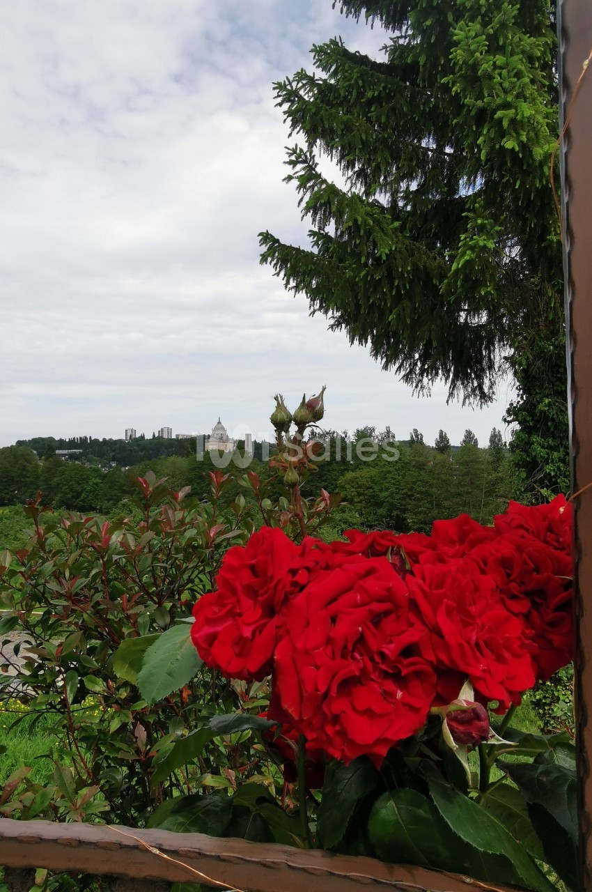 Le Domaine de la Désirée - galerie - photo 27